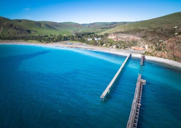 Rapid Bay Dive Camp