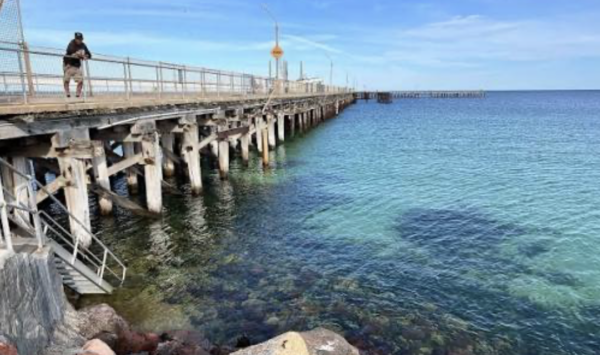 Wallaroo Dive Trip