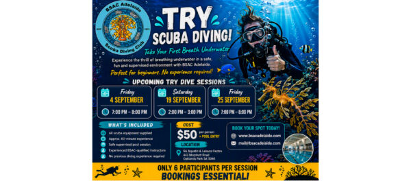 Try Scuba Diving